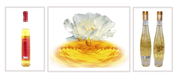 ʳ���͹��b����